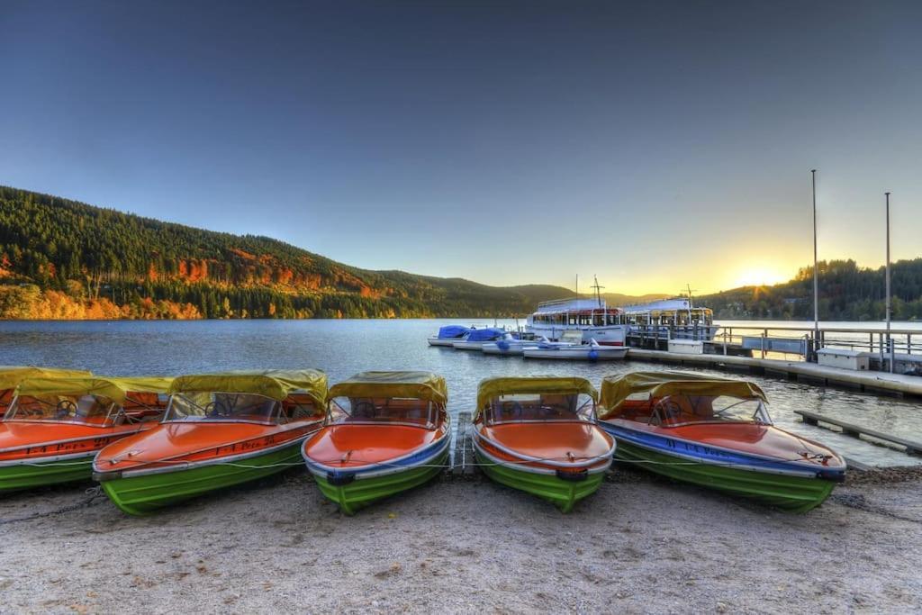 Апартаменты Sieben Tannen Titisee + Hochschwarzwald Card Экстерьер фото