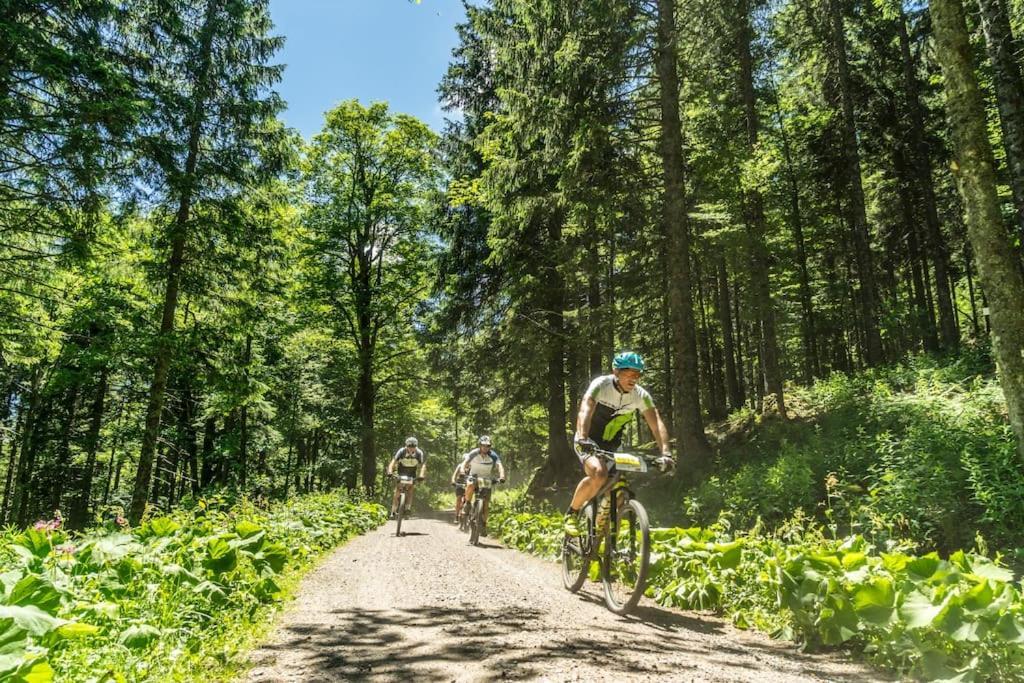 Апартаменты Sieben Tannen Titisee + Hochschwarzwald Card Экстерьер фото