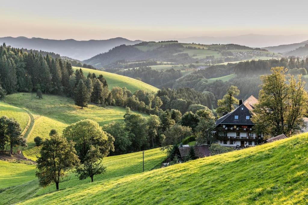 Апартаменты Sieben Tannen Titisee + Hochschwarzwald Card Экстерьер фото